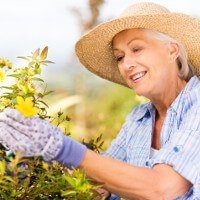 Woman focusing on a plant